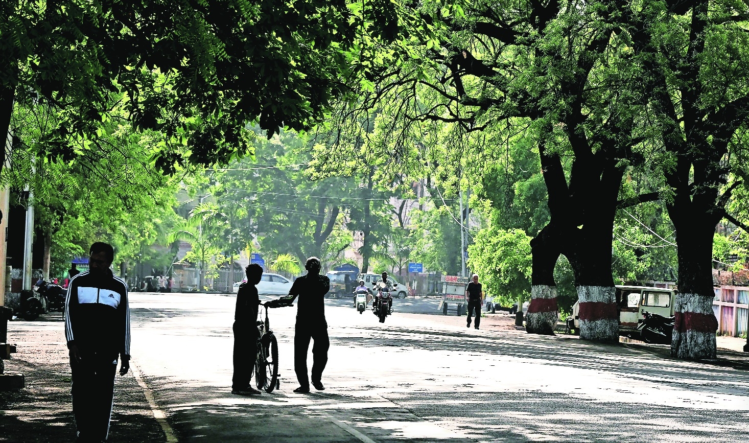 ESR reveals gap in citys green cover