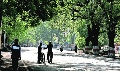 ESR reveals gap in city’s green cover