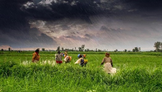 El Nino may affect climate, agri, power sector in Vid
