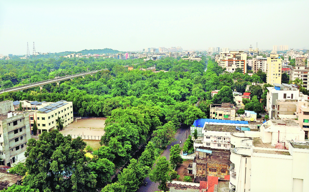 Green cover declines