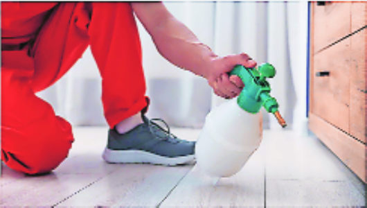 Cut GST on household insecticides to 5 pc: EY-HICA report