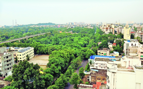 Green cover declines in Laxmi Nagar Zone, ESR fails to pinpoint reasons