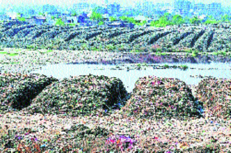 NMC to expand biogas plant to reduce solid waste from June