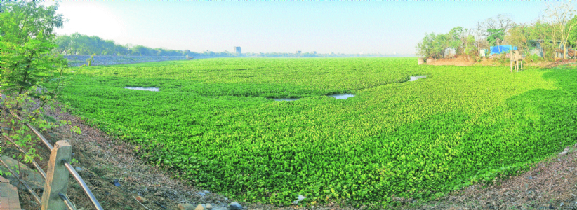 ESR raises red flag; experts ask ‘Where are the statistics?’