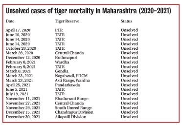 tiger deaths