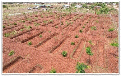 Durg achieves milestone in 