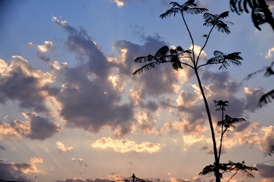 Fluctuating weather brings relief
