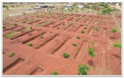 Durg achieves milestone in water conservation