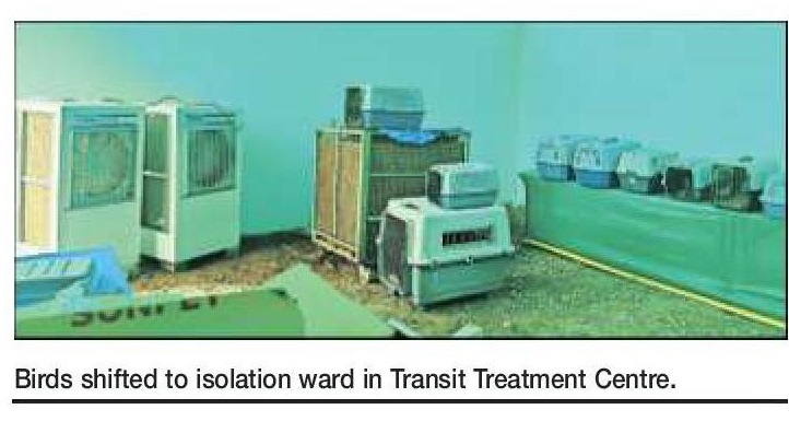 BIRD FLU OUTBREAK Zoos rescue