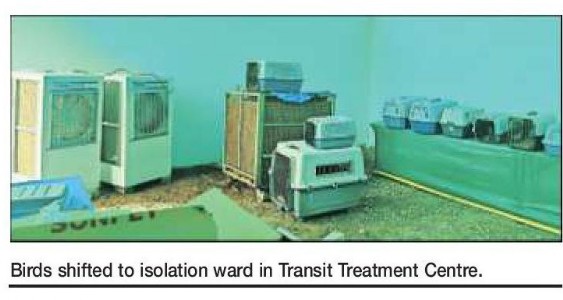 BIRD FLU OUTBREAK: Zoos, rescuecentres restrict entry to outsiders