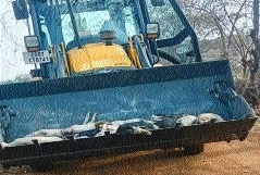 Fire breaks out at BSP’s 