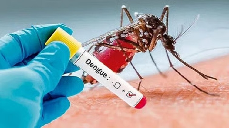 Dengue Chikungunya cases on rise as NMC 