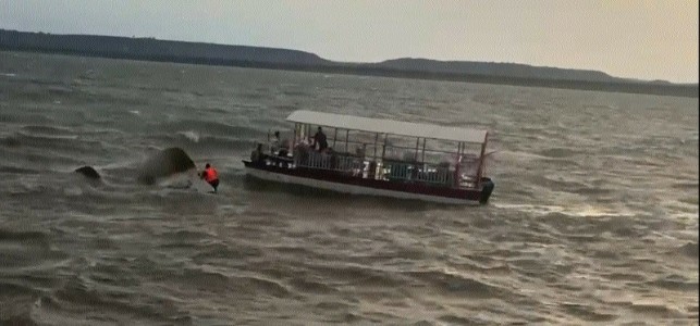 4 dead, 10 missing as boat capsizes in Bargi
