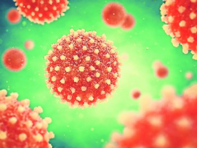 Mah most vulnerable to spread of CDV: Experts