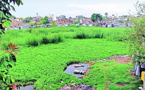 As NMC sleeps, Lendi Talao inching towards death