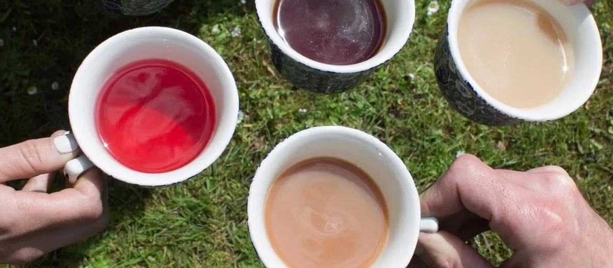 Nagpurs tea habits expand to matcha herbal variants 