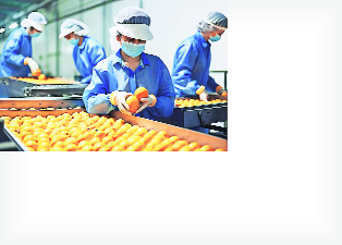Food Processing Industries Ministry seeking