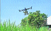 Insta reel lands 2 youths