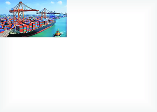 Exports in high growth