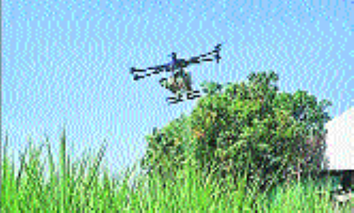 Insta reel lands 2 youths in police net for night drone shoot in forest