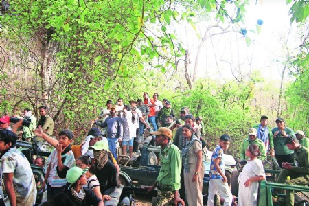 Buffer zones to remain open for tourists during monsoon