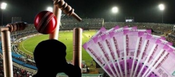 Accountant loses Rs 2 cr in on-line cricket betting, cheats employer