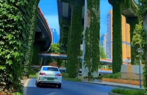 Cement roads be avoided in residential colonies stress on improving green cover