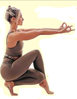 Yogic Kleshas