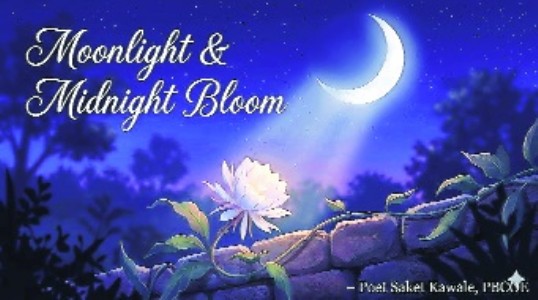 Moonlight & Midnight Bloom