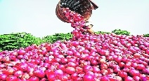 Mah onion farmers seek 