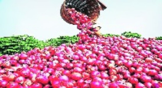 Mah onion farmers seek Rs 10K cr package, stable export policy from Centre