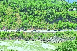 12 Killed
