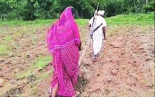 After viral video shows farmer’s wife 