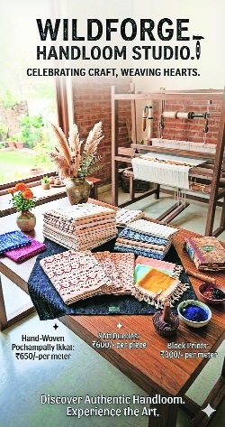 Wild Forge Handloom Studio offers new season arrivals