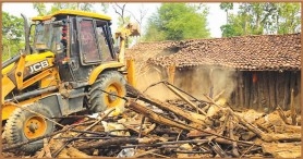 Forest Deptt restores large