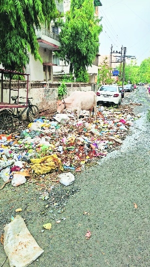 Garbage piled up by roadside across 5 zones Garbage piled up by roadside across 5 zones