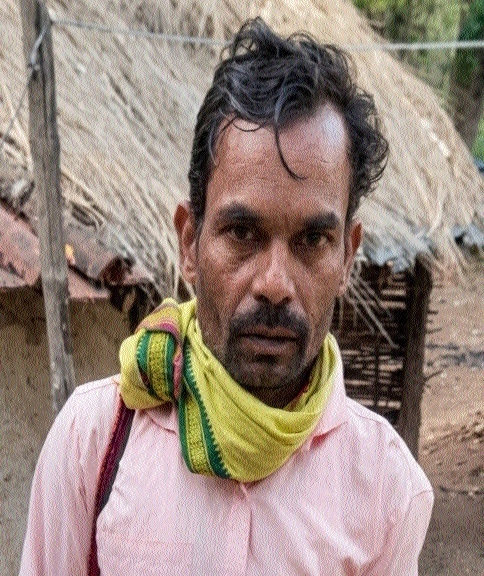 Tiger kills security guardafter attacking forest patrolling team in ...