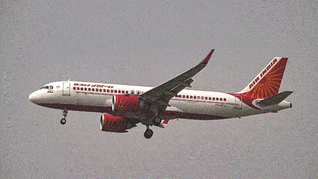 Bird hit delays Air