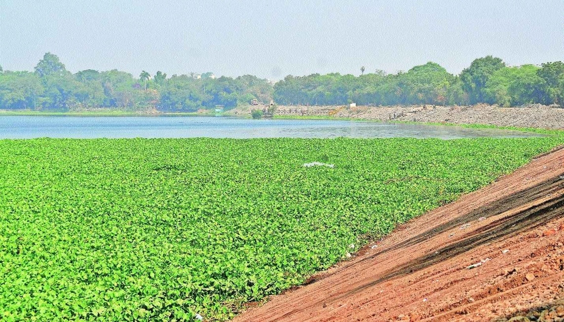 Nagpurs water future at risk as groundwater recharge 