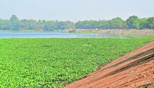 Nagpur’s water future at risk as groundwater recharge