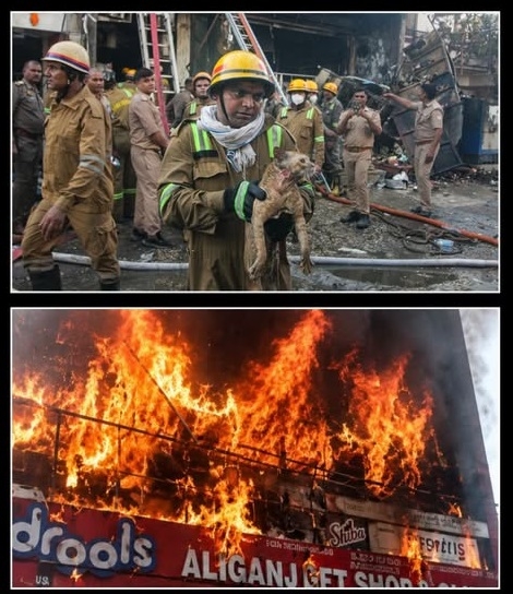 15 children killed in massive building fire in Lucknow