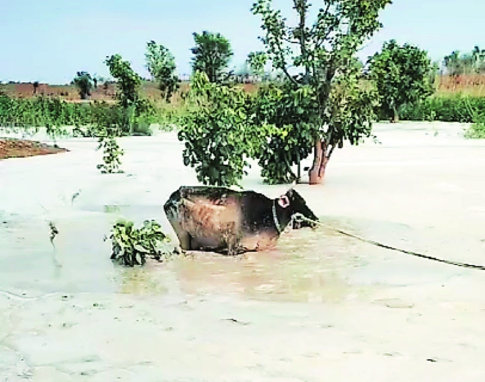 MahaGenco starts unscientific dumping of fly ash in Nandgaon