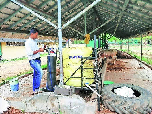 Agriculture stubble waste Parali being treated at Nagpur Veterinary College