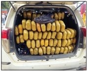 300 kg ganja