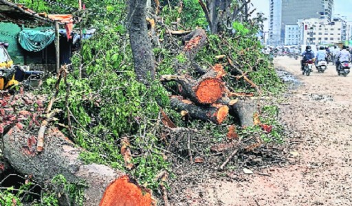 TREES ON PAPER, HEAT ON STREETS Nagpur is burning and ‘compensatory’ trees are not saving it