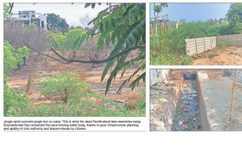 Pandhrabodi lake: A ‘pond’ of encroachment, apathy
