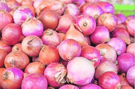 Farmers seek Rs 3000 per quintal support price as Centre eases onion procurement norms