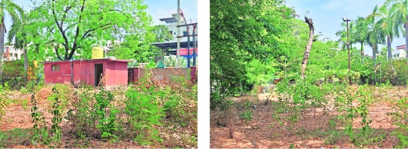 One year on, civic bodies overlook HC order Savarkar Nagar Garden yet to regain its former glory
