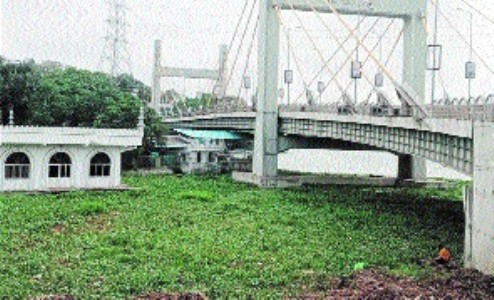 NGT fines BMC Rs 20,000 for ignoring Bhoj Wetland encroachment case orders