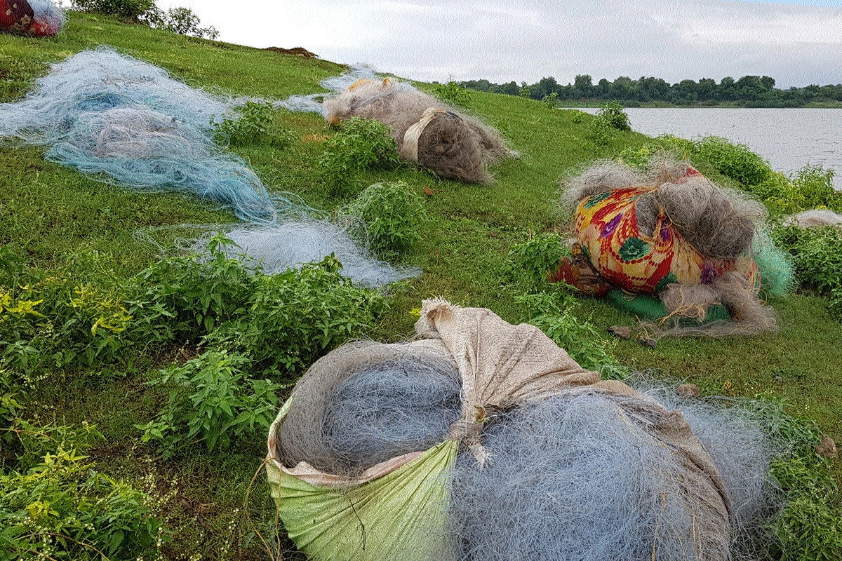 Bargi reservoir fish production